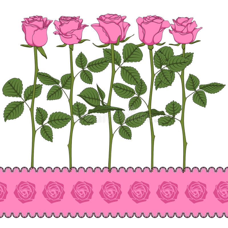 Set de ilustrații color cu trandafiri roz. obiecte vectoriale izolate. vector illustration