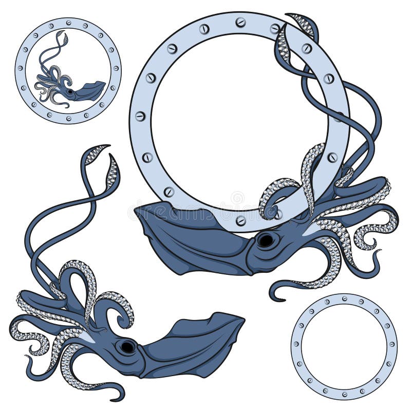 Set de ilustrații color în albastru cu calmar. obiecte vectoriale izolate. stock illustration