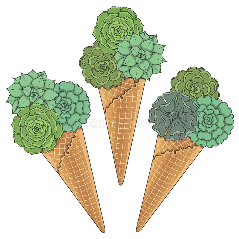 Set de ilustrații colorate ale înghețatei din suculenți. obiecte vectoriale izolate. royalty free illustration
