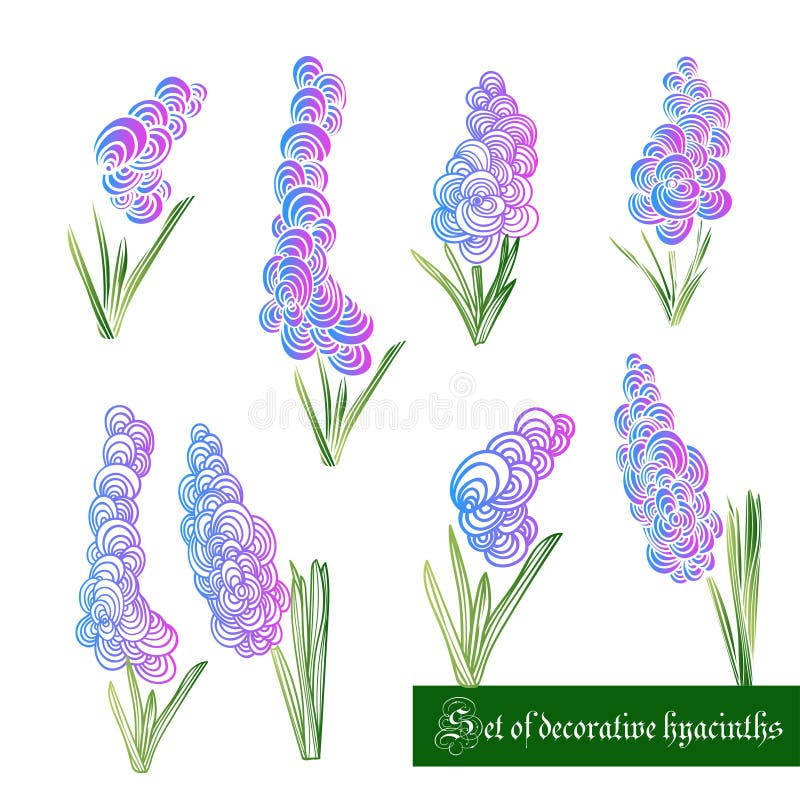 Small Colored Lavender Hyacinth Temporary Tattoos For Women Girl Peony  Daisy Fake Tattoo Body Art Painted Washable Tatoo Sticker   AliExpress  Mobile