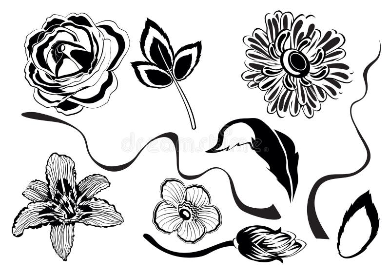 Set of decorative flowers for design in black color, isolated object on a white background, vector illustration