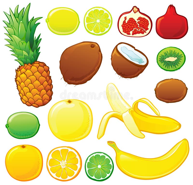 Tropical fruit set, each in separated layer. Tropical fruit set, each in separated layer.