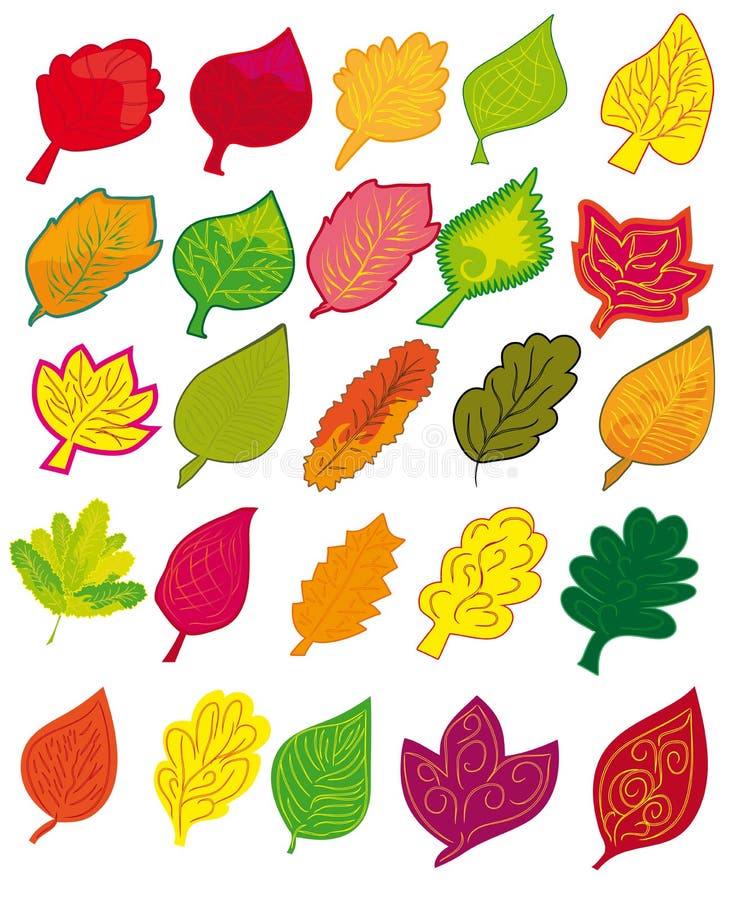 Set of different abstract colored leaves