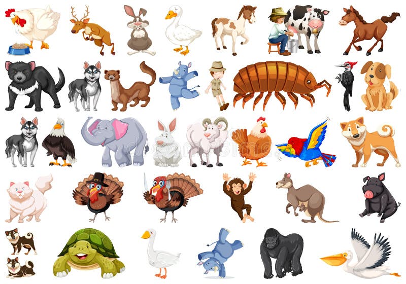 Set of different animals stock vector. Illustration of rhino - 154231689