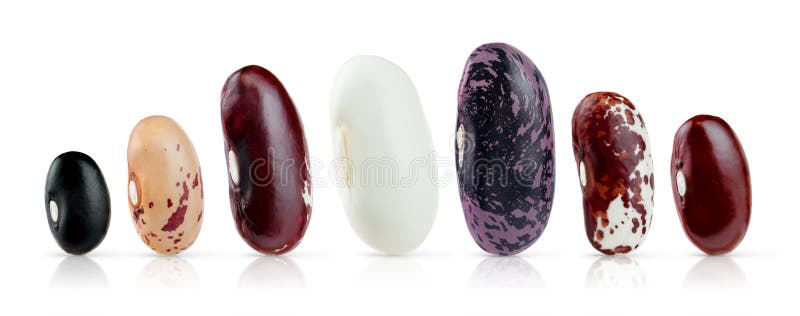 Set of different beans isolated on white background with clipping path stock photography