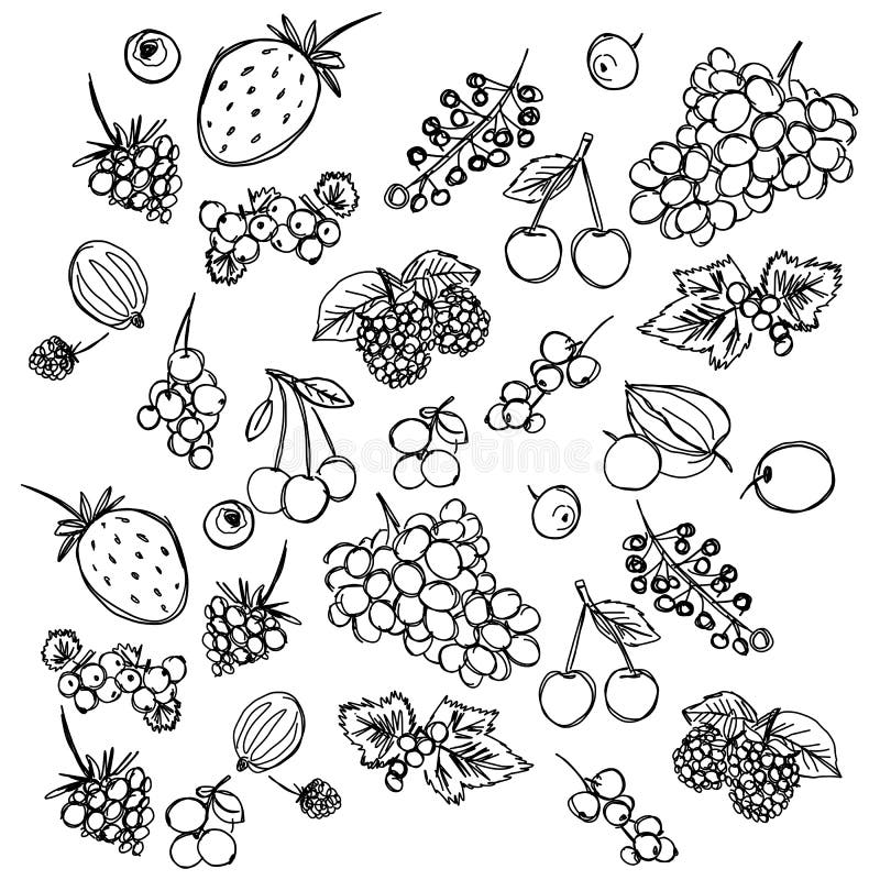 Set of Different Berries Painted in the Style of Children`s Drawing