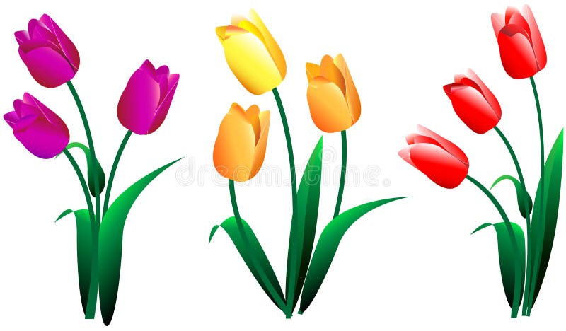 Set of different bouquets of yellow red pink flower tulips