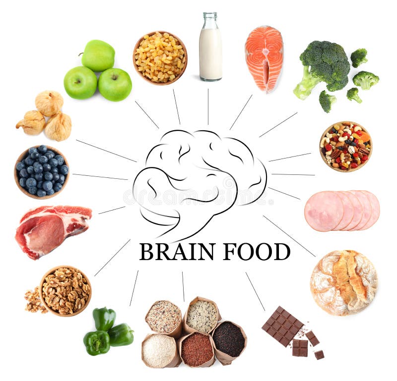 Different Brain Sides Concept Stock Image - Image of imagination, logic ...