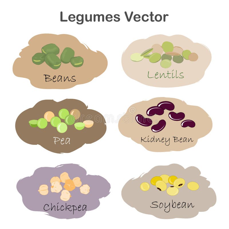 Set of different cartoon legumes labels isolated on white background. Kidney, soy, green beans, peas, chickpeas, lentils stock illustration Set of different cartoon legumes labels isolated on white background. Kidney, soy, green beans, peas, chickpeas, lentils stock illustration