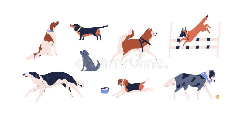 Set of different dog vector flat illustration. Collection of various doggy playing, walking, sitting and performing