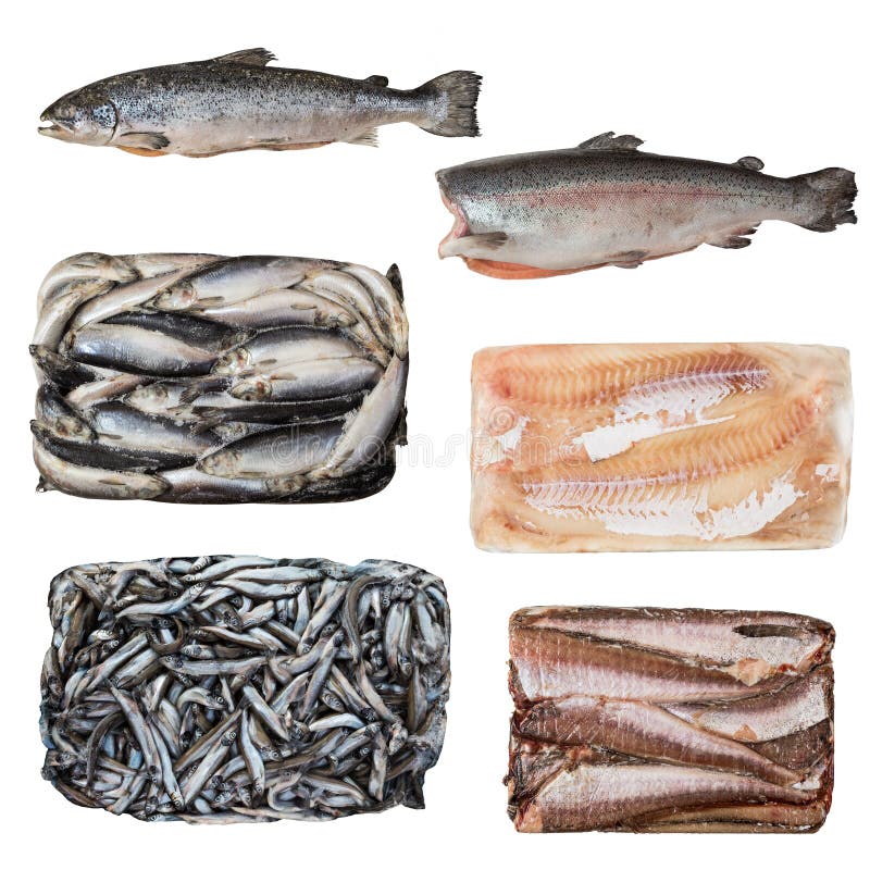 Set of a Different Frozen Fish Stock Photo Image of halibut, diet