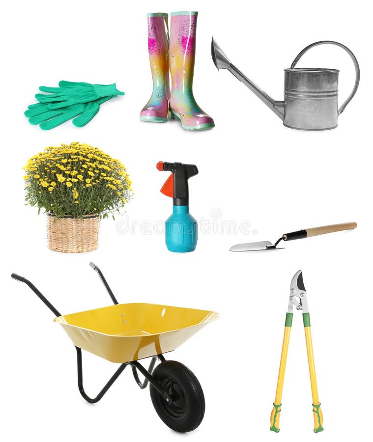 Set with Different Gardening Tools on White Stock Photo Image of