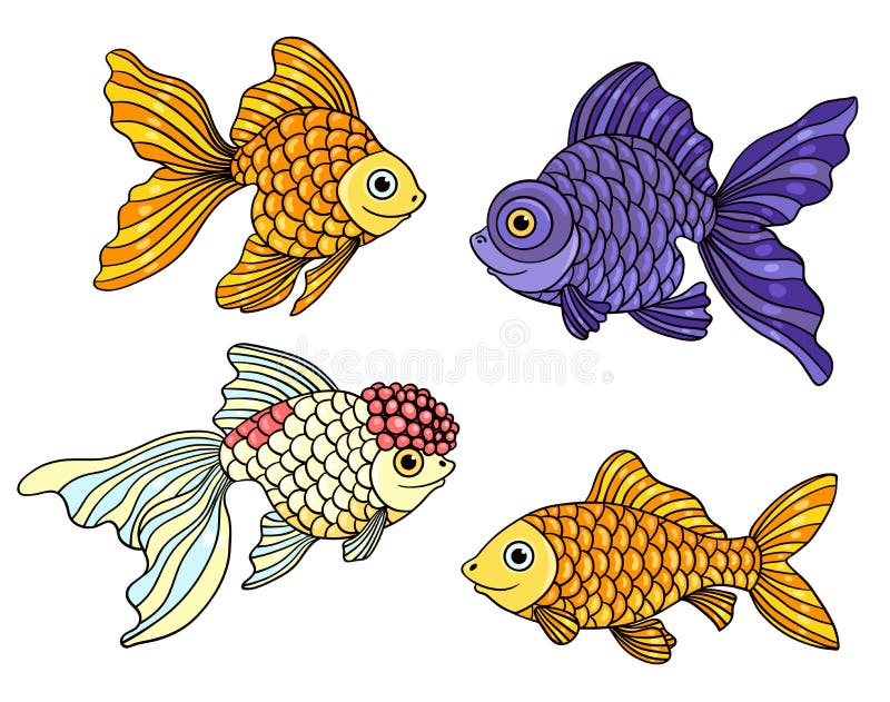 Oranda Goldfish Stock Illustrations 60 Oranda Goldfish Stock Illustrations Vectors Clipart Dreamstime Oranda Goldfish Stock Illustrations 60 Oranda Goldfish Stock Illustrations Vectors Clipart Dreamstime