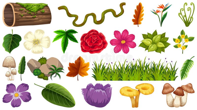 Set of Different Nature Elements Stock Vector - Illustration of leaf