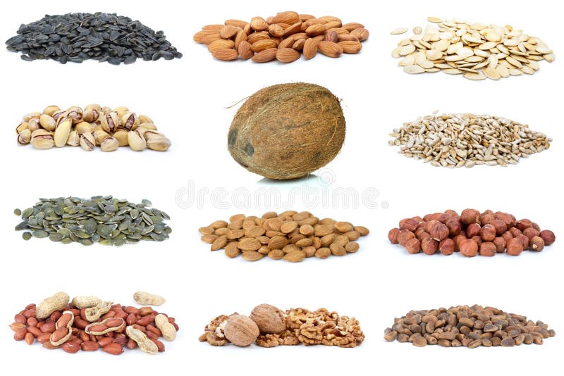 Set of different nuts