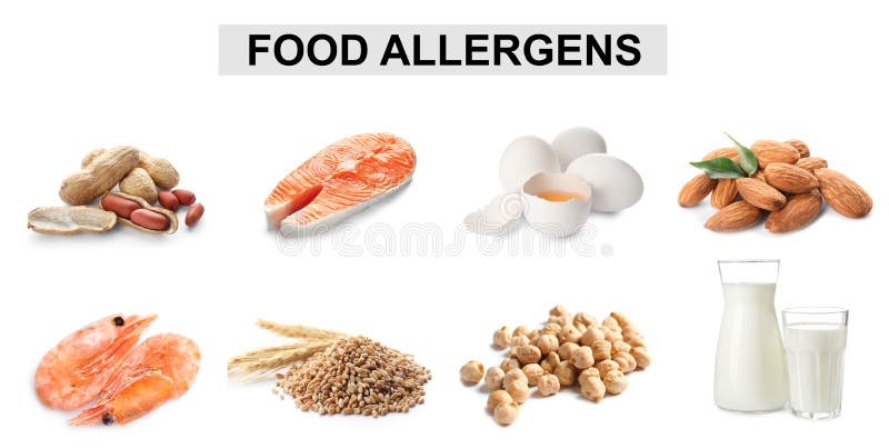 Set of different products causing food allergies royalty free stock photo Set of different products causing food allergies royalty free stock photo