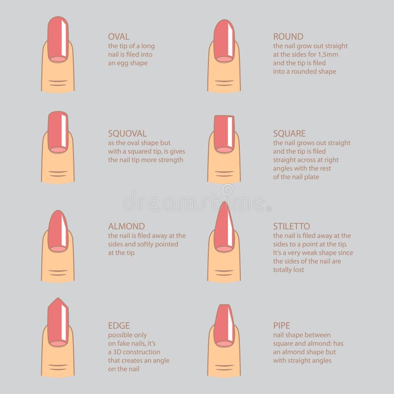 Set of Different Shapes of Nails on Gray. Nail Shape Icons. Stock ...