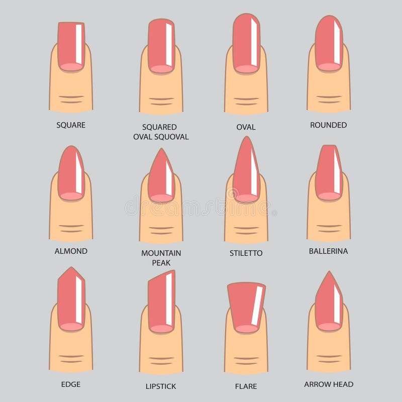 Nail Shapes Stock Illustrations – 777 Nail Shapes Stock Illustrations ...