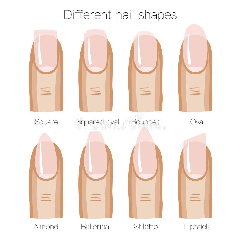 Set of Different Shapes of Nails Stock Illustration - Illustration of ...