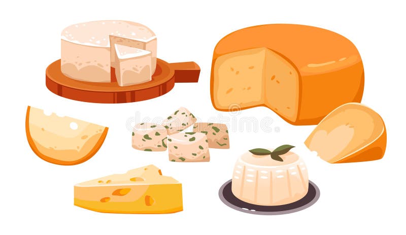 A set of different types of cheese. Dairy products. Organic homemade food. Cartoon vector illustration royalty free illustration