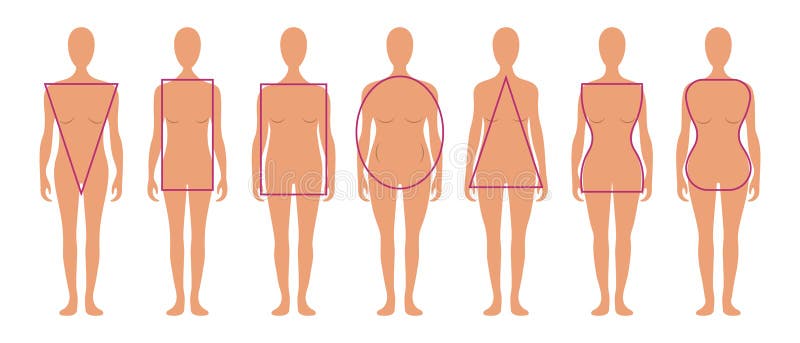 Free Vector  Flat types of female body shapes set