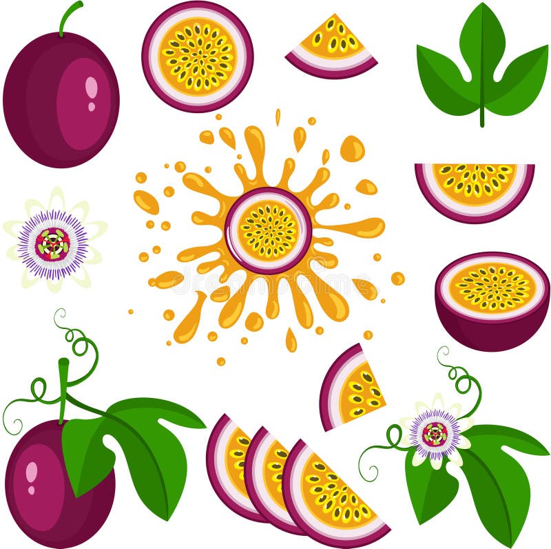 Set of Digital Elements with Fresh Love Passion Fruit Stock