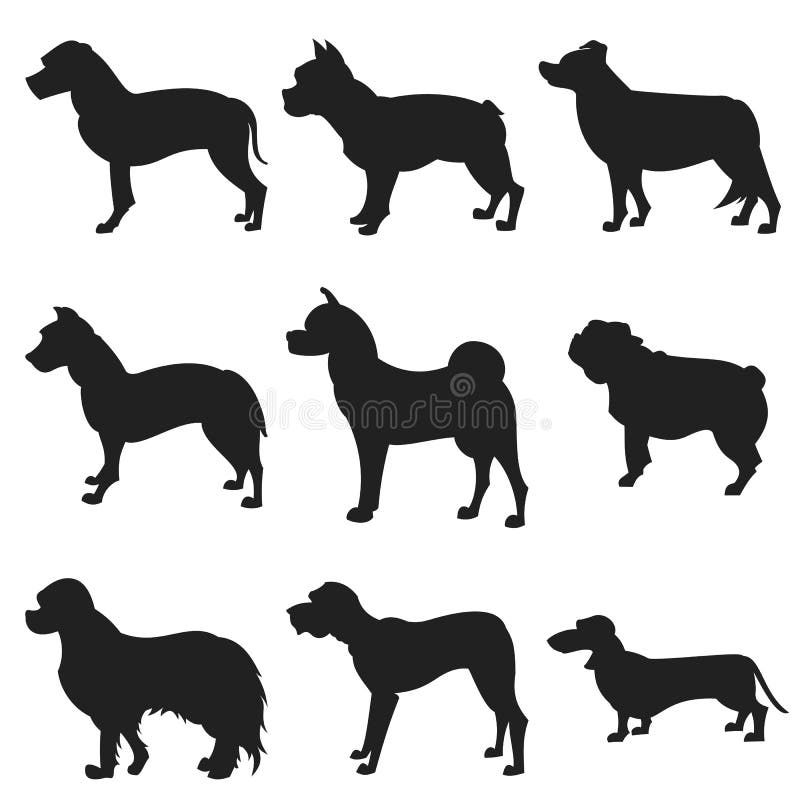 Set of dogs black silhouette. Akita and bulldog, collie and dachshund, vector illustration