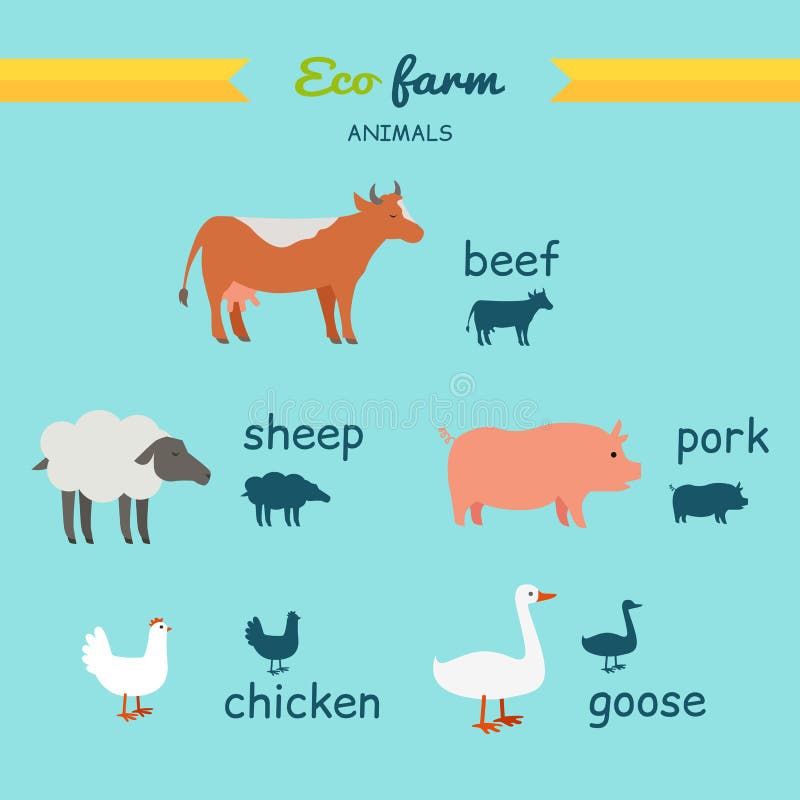 Set of Domestic Animals Flat Design Vector. Stock Vector - Illustration of lamb, mammal: 74967409 Set of Domestic Animals Flat Design Vector. Stock Vector - Illustration of lamb, mammal: 74967409