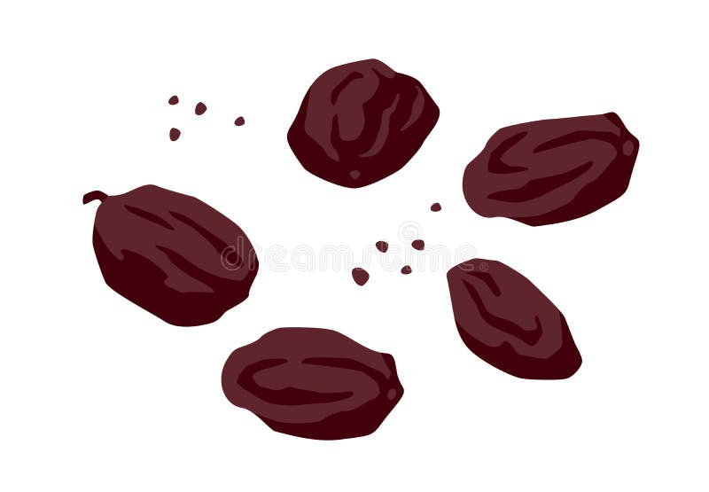 Set of Drawn Raisin, Vector Illustration. Isolated Elements Stock