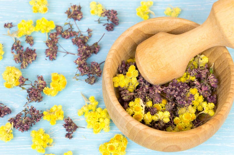 Set of Dried Herbs for the Treatment or Cosmetology Stock Photo Image