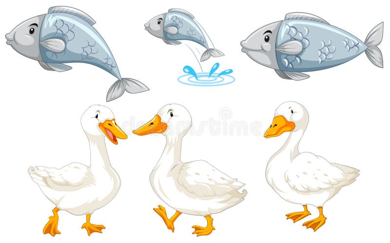 Set of duck and fish stock vector. Illustration of symbol - 140641462