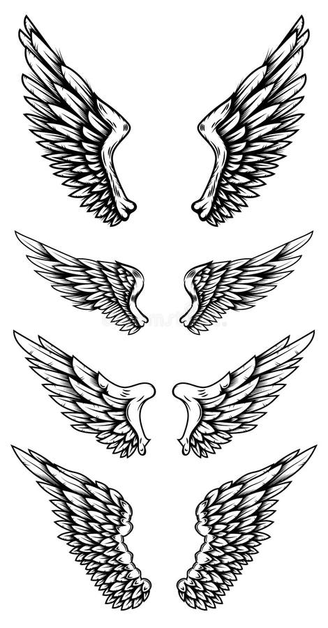 Wings Tattoo Vector Art Icons and Graphics for Free Download