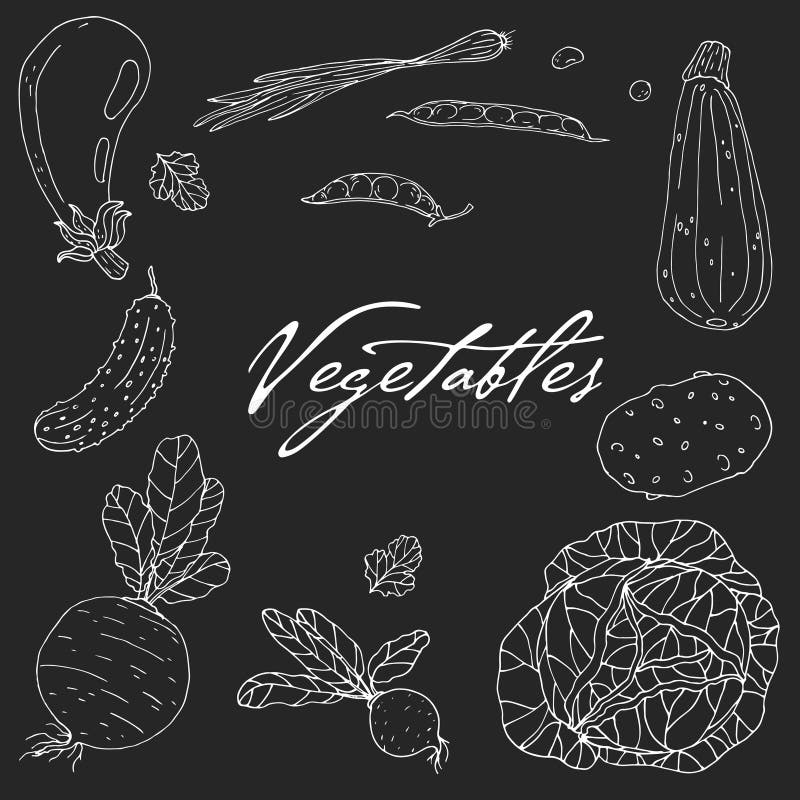 Set of elements with hand drawn vegetables on a chalkboard background vector illustration