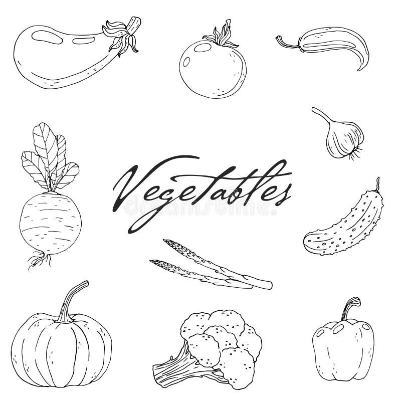 Set of elements with hand drawn vegetables on a white background stock illustration
