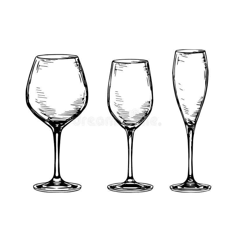 Set of empty wine glasses. vector illustration