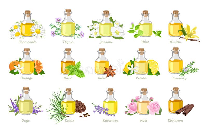 Set of essential oils in glass bottles, herbs and flowers.