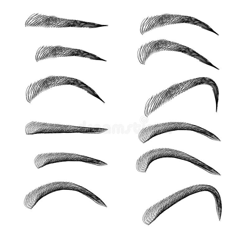 Types Eyebrows Stock Illustrations – 163 Types Eyebrows Stock ...