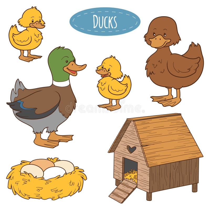 Set of cute farm animals and objects, vector family duck, coloring book. Set of cute farm animals and objects, vector family duck, coloring book