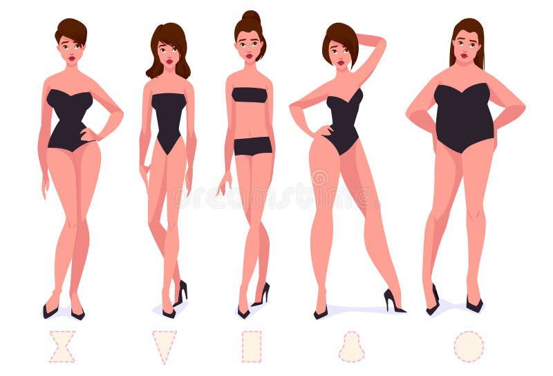 What are some different body types?