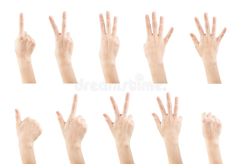 Set female hands gestures making a numbers.