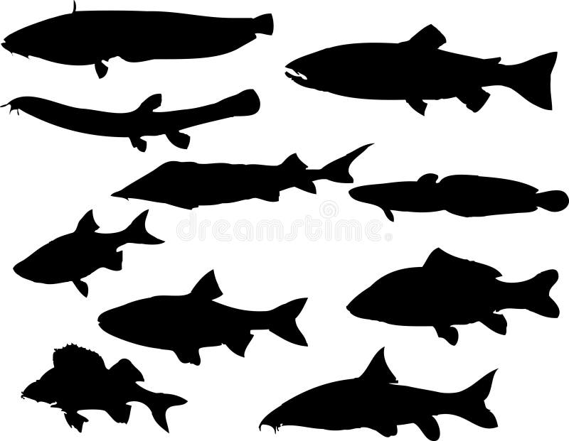 Tropical fish vector stock vector. Illustration of cartoon - 2231412
