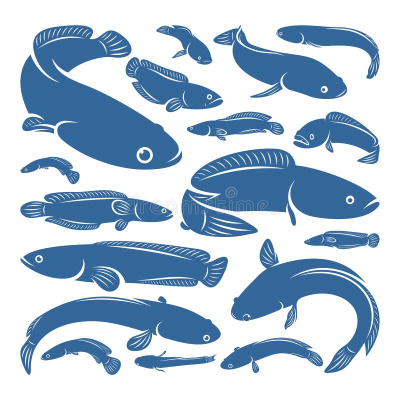 Cork Fishing Stock Illustrations 350 Cork Fishing Stock Illustrations