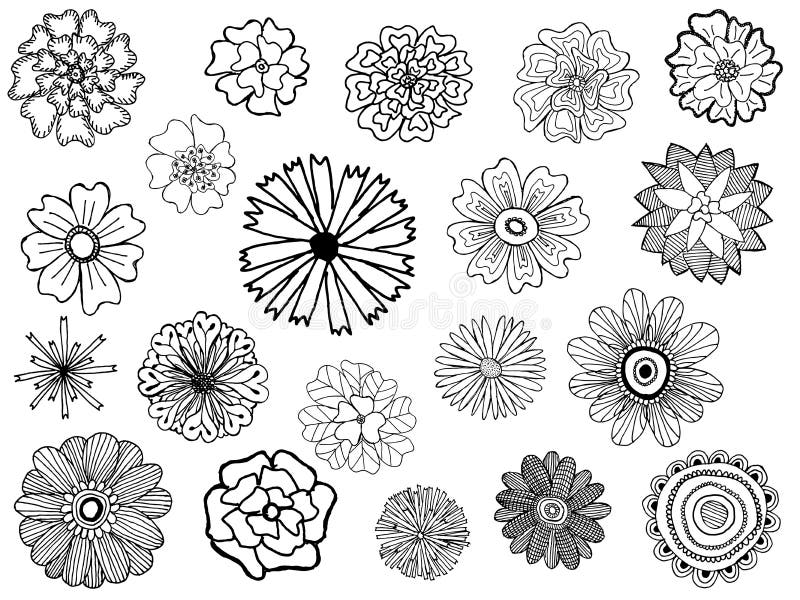 Set of flowers stock vector. Illustration of drawing - 14193402