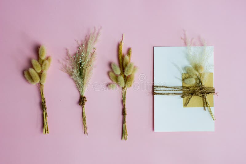 Set of flowers with letter over the pink background. stock images