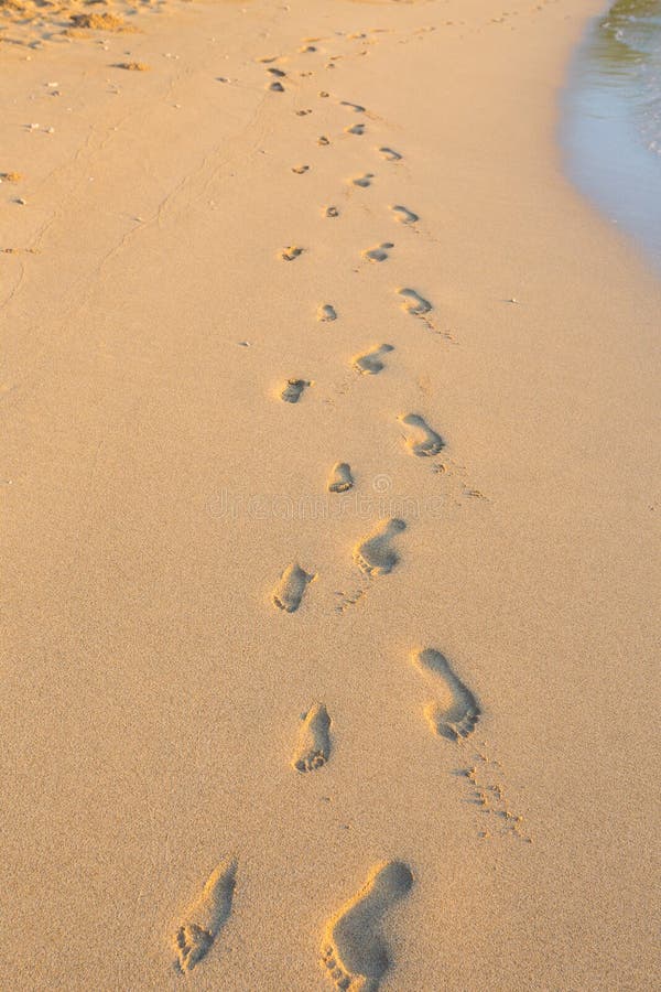 Set of Footprints in the Sand on Hawaii Beach