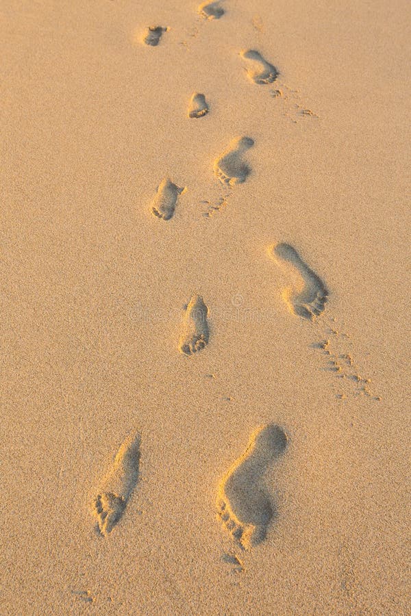 Two Sets Footprints Beach Sand Photos Free Royalty Free Stock Photos From Dreamstime