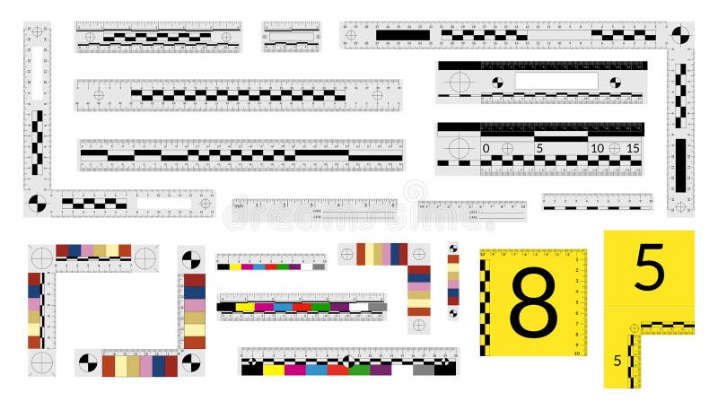 Set of forensic measuring rulers