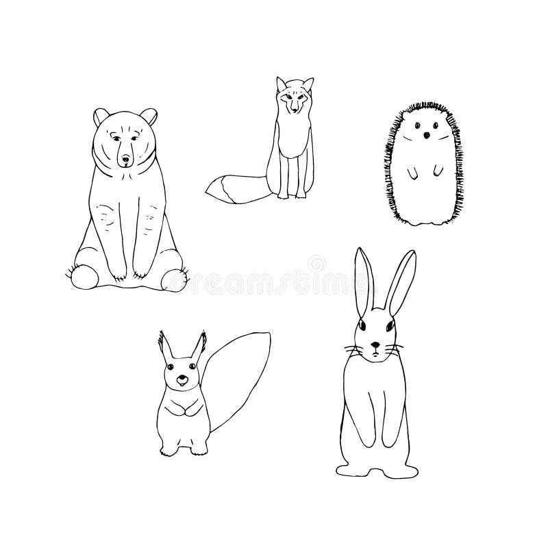 Set of Forest Animals, Vector Illustration, Hand Drawing Stock Illustration - Illustration of vector, doodle: 193702255 Set of Forest Animals, Vector Illustration, Hand Drawing Stock Illustration - Illustration of vector, doodle: 193702255