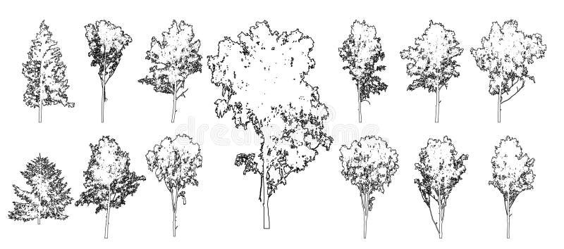 Trees Elevation PNG Picture, Elevation Tree Sketch, Bigtree, Elevation,  TreePNG PNG Image For Free Download