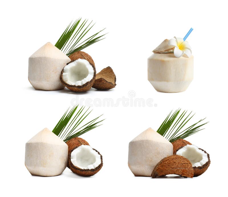 Set of Fresh Coconut Drinks Isolated Stock Image Image of nutrition